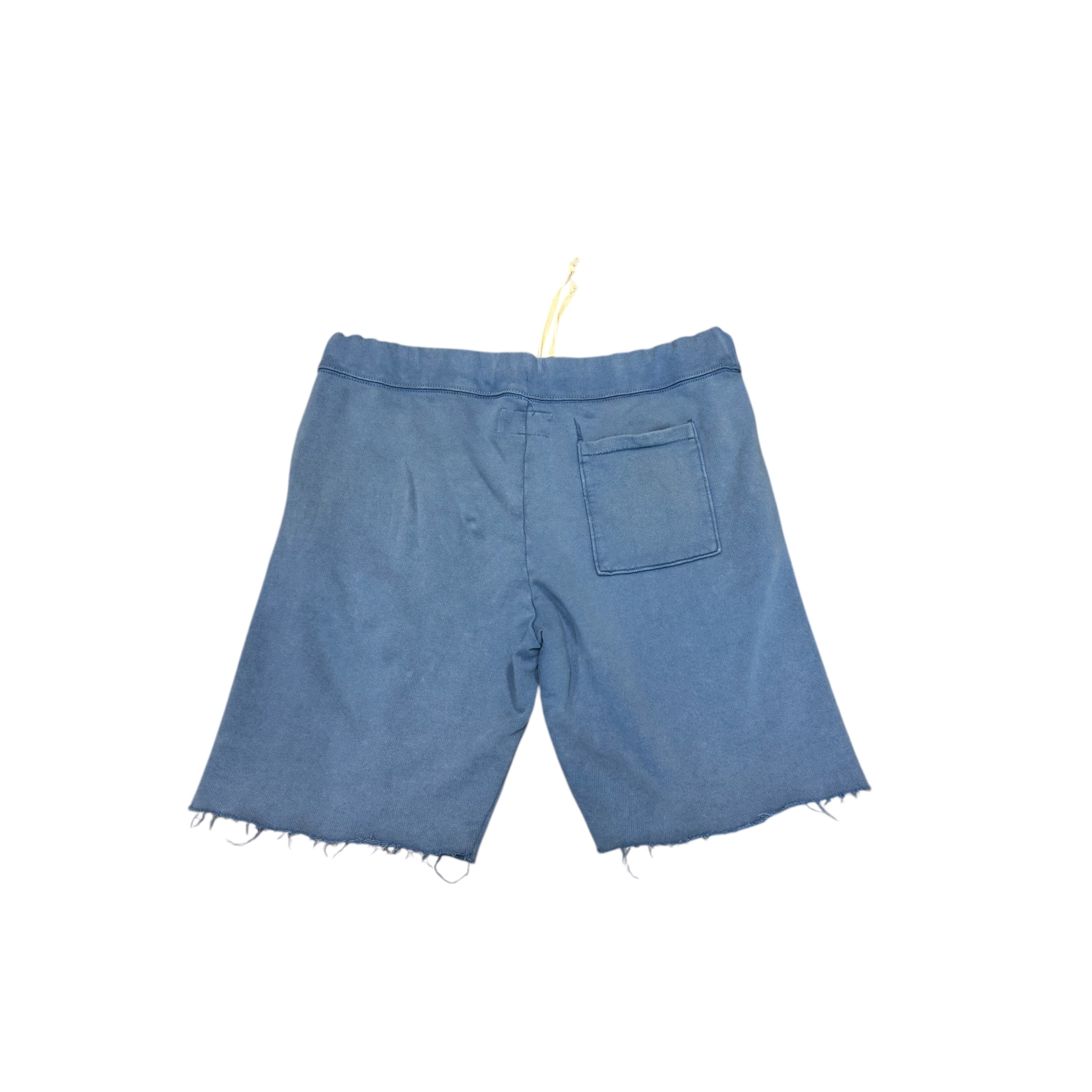 Denim and Supply racing team shorts